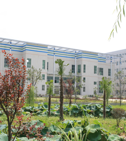 中南财经政法大学武汉学院 中南财经政法大学武汉学院