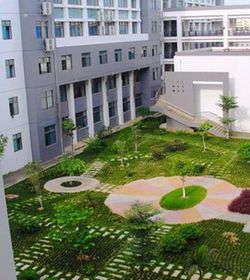 广西大学行健文理学院 广西大学行健文理学院