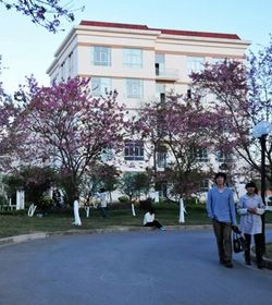 北海宏源足球职业学院 北海宏源足球职业学院