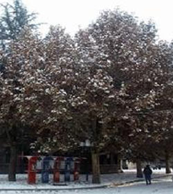 甘肃中医学院 甘肃中医学院