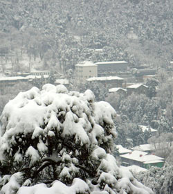 西安东方亚太职业技术学院 西安东方亚太职业技术学院