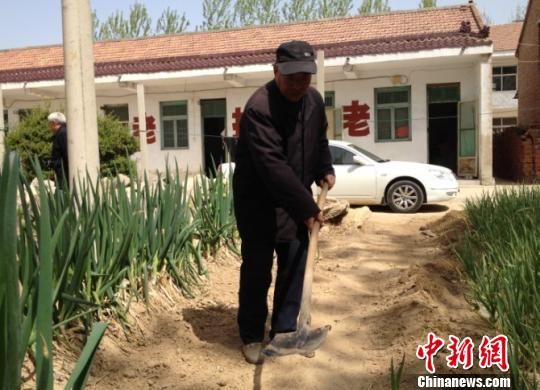 为吃到新鲜蔬菜还能节约费用，老人们自己在敬老院空地上种菜　朱志庚　摄