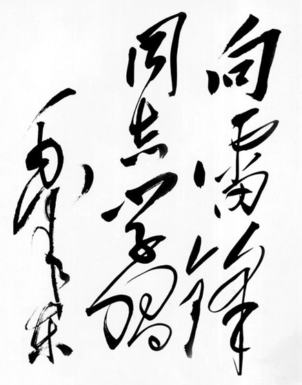 雷锋图片
