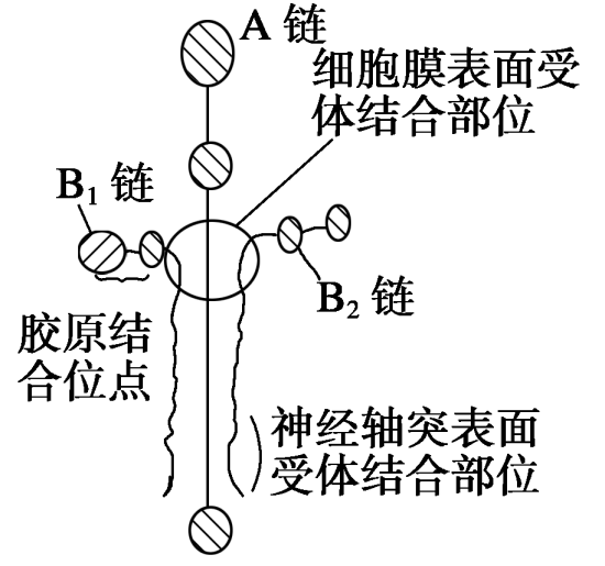 2014年高考生物百日冲刺细胞结构专题练习