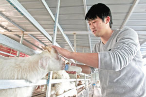 吴嘉豪给一只小羊喂奶。
