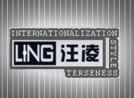 汪淩形象設計