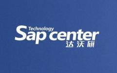 达沃旗SAP教育 达沃旗SAP教育