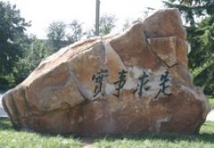 人民大学