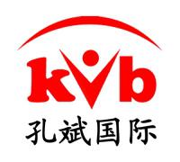 孔斌国际网络营销 孔斌国际网络营销