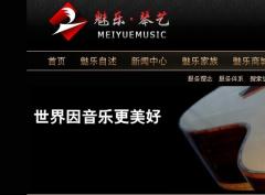 魅乐琴艺