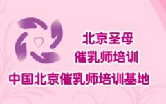 北京圣母催乳培训