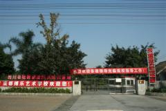 搏乐艺术学校