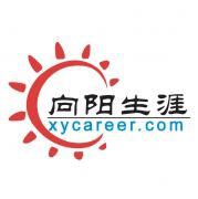 向阳生涯