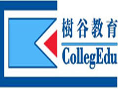 树谷教育