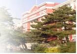 中企智业