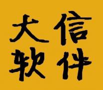 大信实训