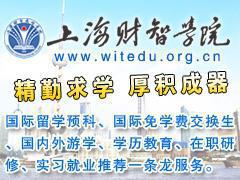 上海财智学院