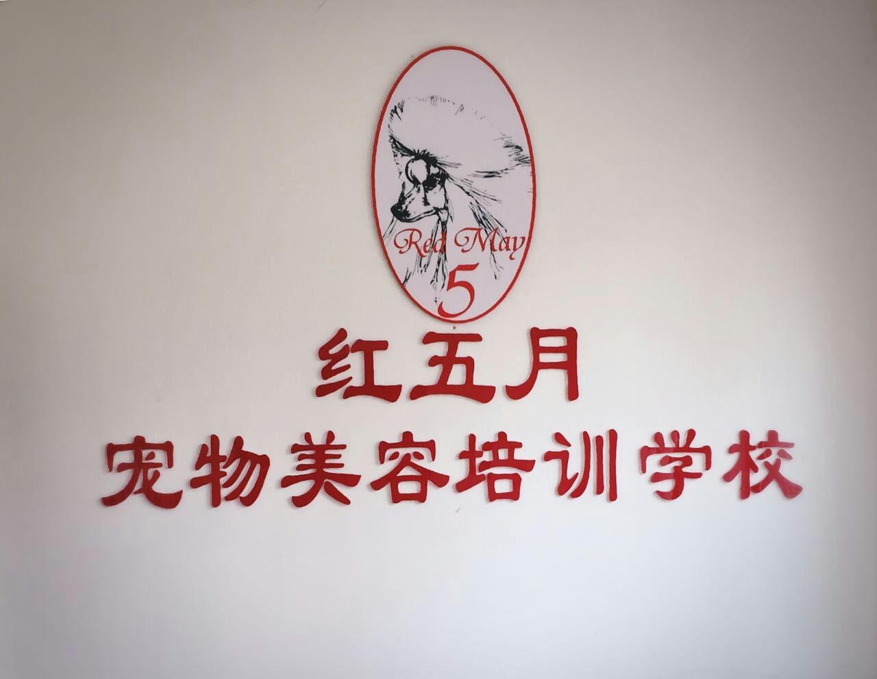 红五月宠物美容培训学校