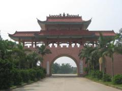 中和教育