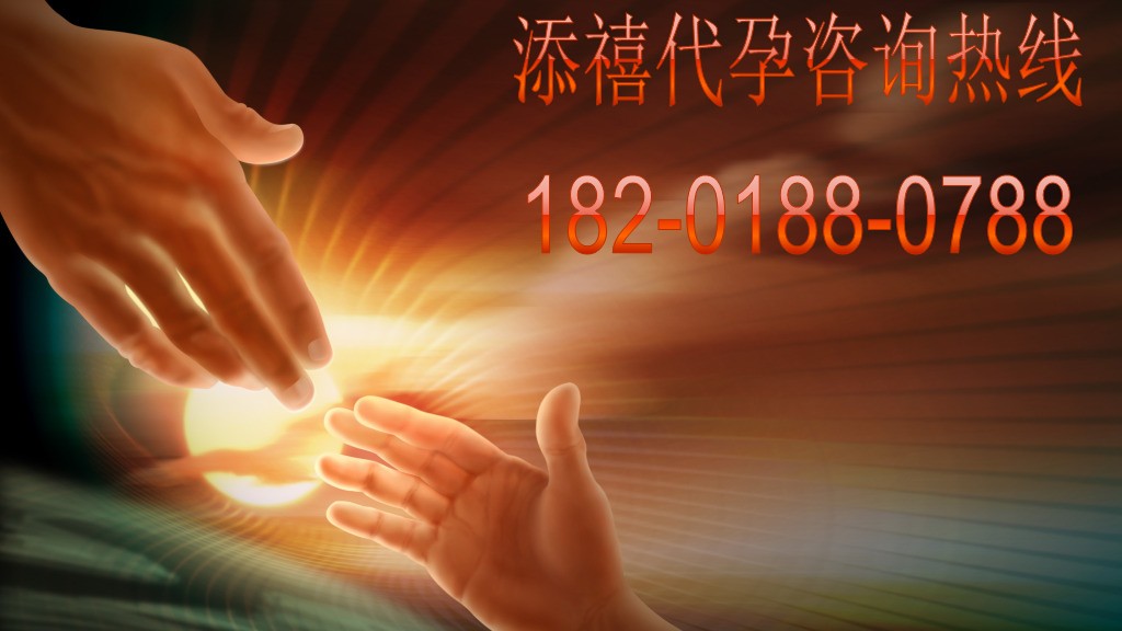 添禧模特培训