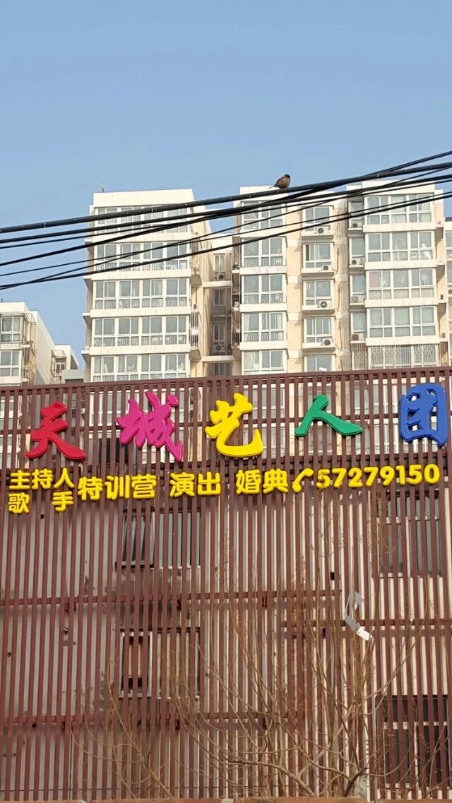 天城艺人团 天城艺人团