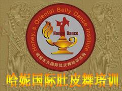 哈妮国际肚皮舞培 哈妮国际肚皮舞培