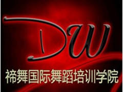 北京禘舞舞蹈培训