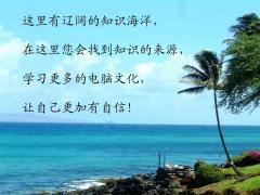 天津通网电脑 天津通网电脑