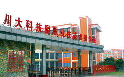 川大科技园挖掘机培训学校