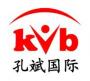 孔斌国际网络营销