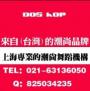 潮尚舞蹈