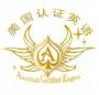 ACE英语