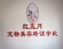 红五月宠物美容培训学校