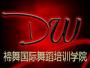 禘舞舞蹈