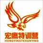 宏鹰教育