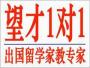 望才教育