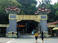 南师教师证
