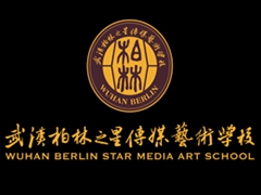 柏林之星 柏林之星