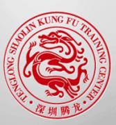 腾龙武术