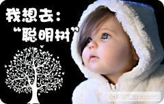 沈阳聪明树早教中心 沈阳聪明树早教中心
