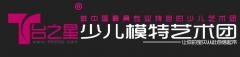 T台之星艺术团