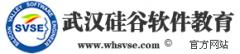 硅谷软件