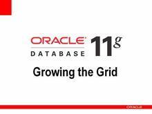 深圳ORACLE 深圳ORACLE