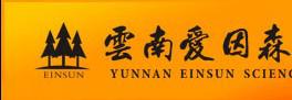 云南爱因森吴井桥校区