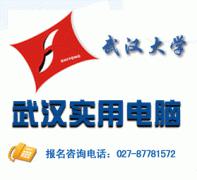 实用电脑 实用电脑