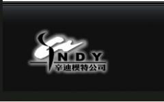 辛迪模特艺术学校