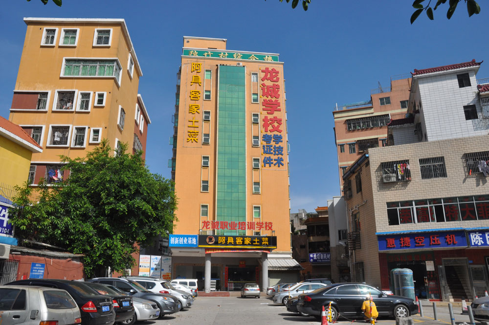 龙诚学校 龙诚学校