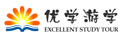上海辉衡有限公司