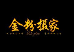 金粉摄家