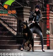 华彩尚映影视学院 华彩尚映影视学院
